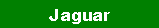 Textfeld: Jaguar